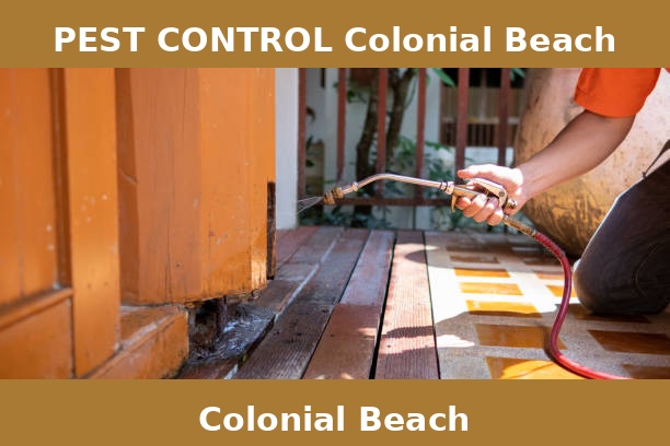 PEST CONTROL Colonial Beach